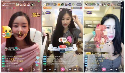 娱乐吃瓜酱考大学,娱乐吃瓜酱带你领略大学生活的多彩画卷